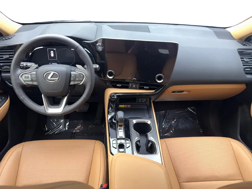Lexus NX photo 53