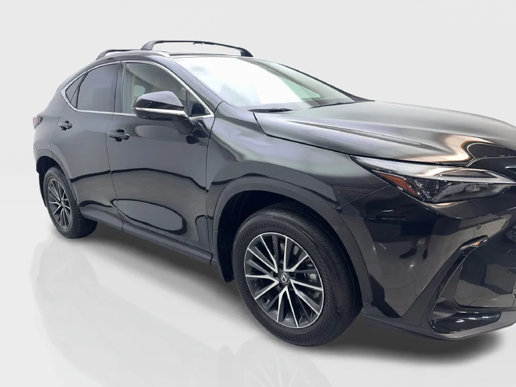 Lexus NX photo 14