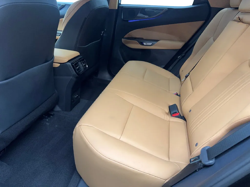 Lexus NX photo 35