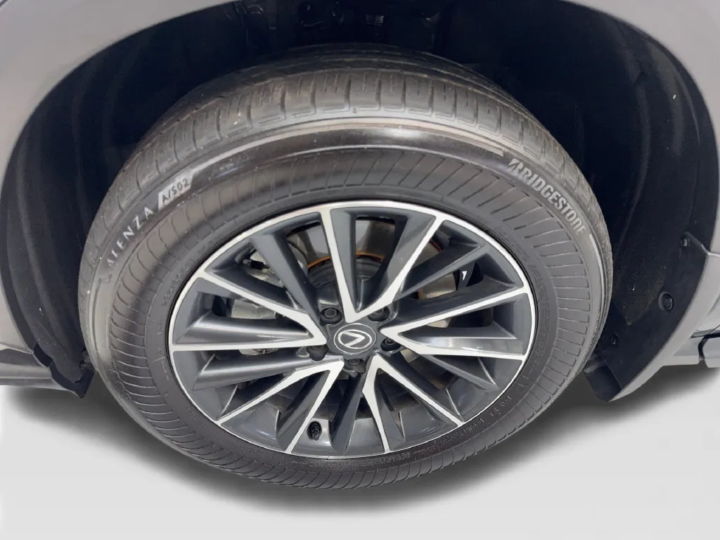 Lexus NX photo 85