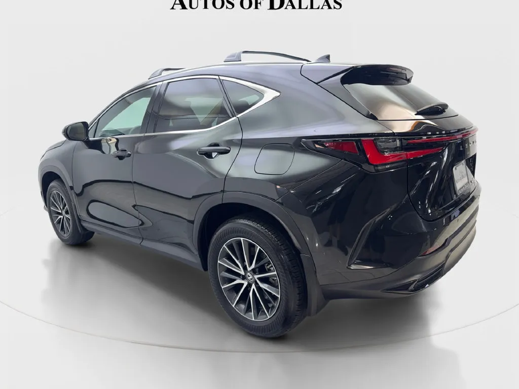 Lexus NX photo 10