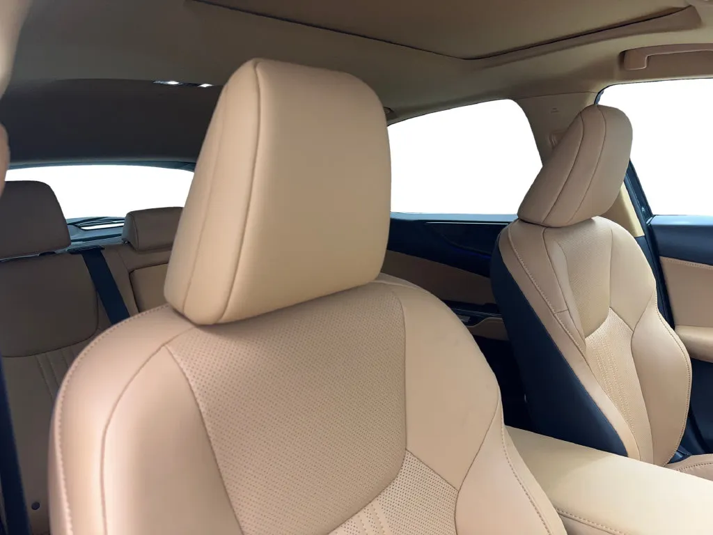 Lexus NX photo 47