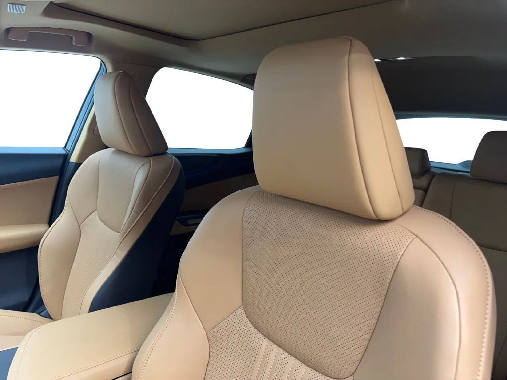 Lexus NX photo 29
