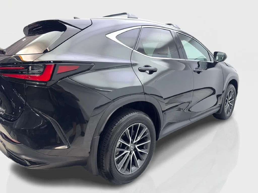 Lexus NX photo 15