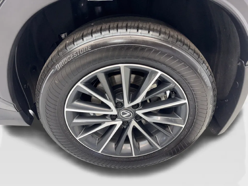 Lexus NX photo 84