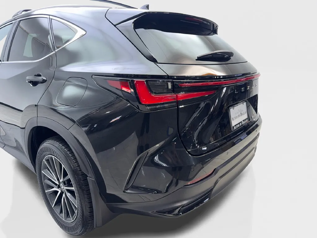 Lexus NX photo 21