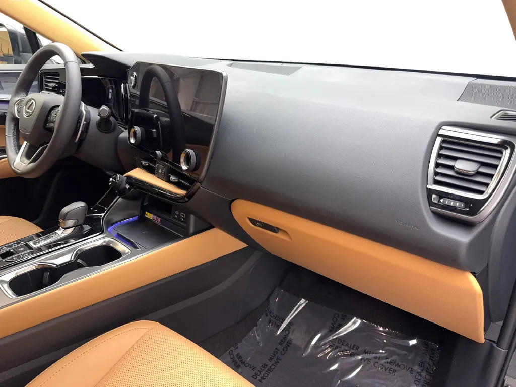 Lexus NX photo 54