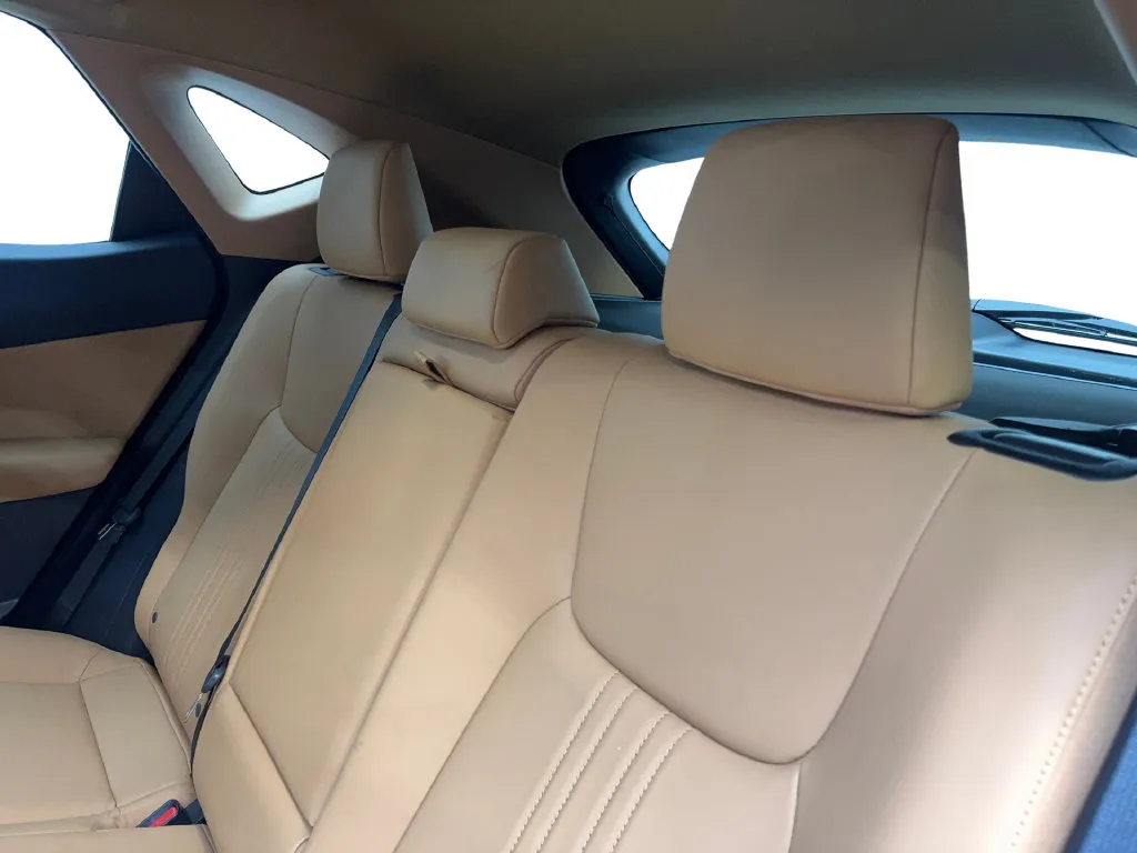Lexus NX photo 36