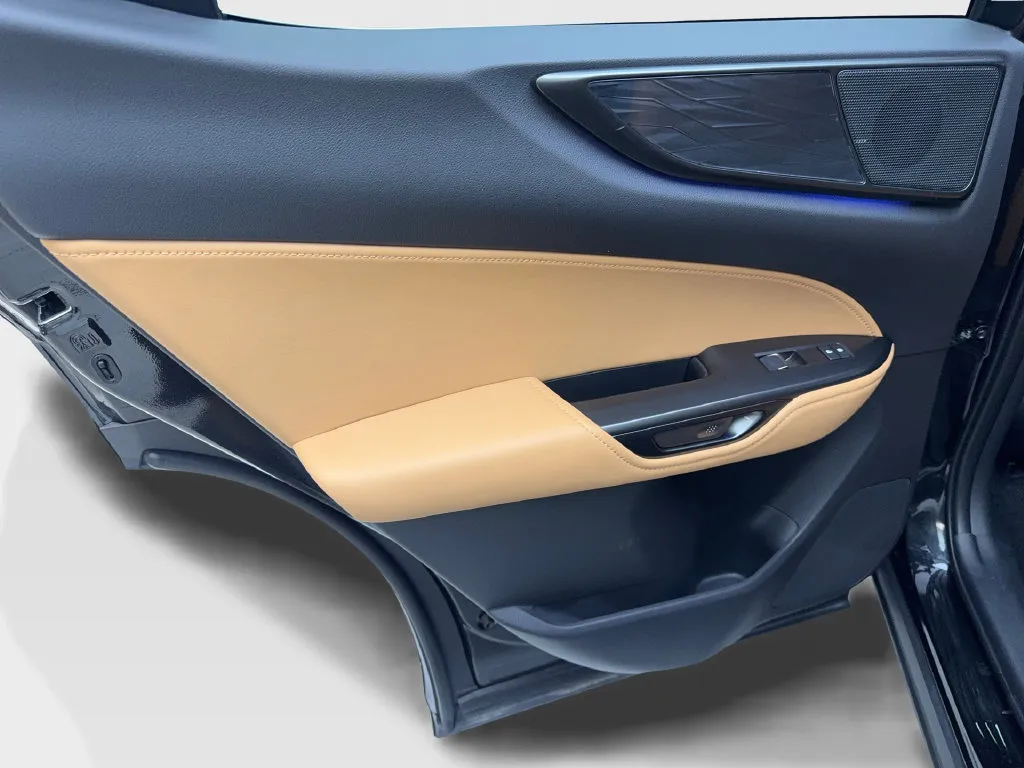 Lexus NX photo 39