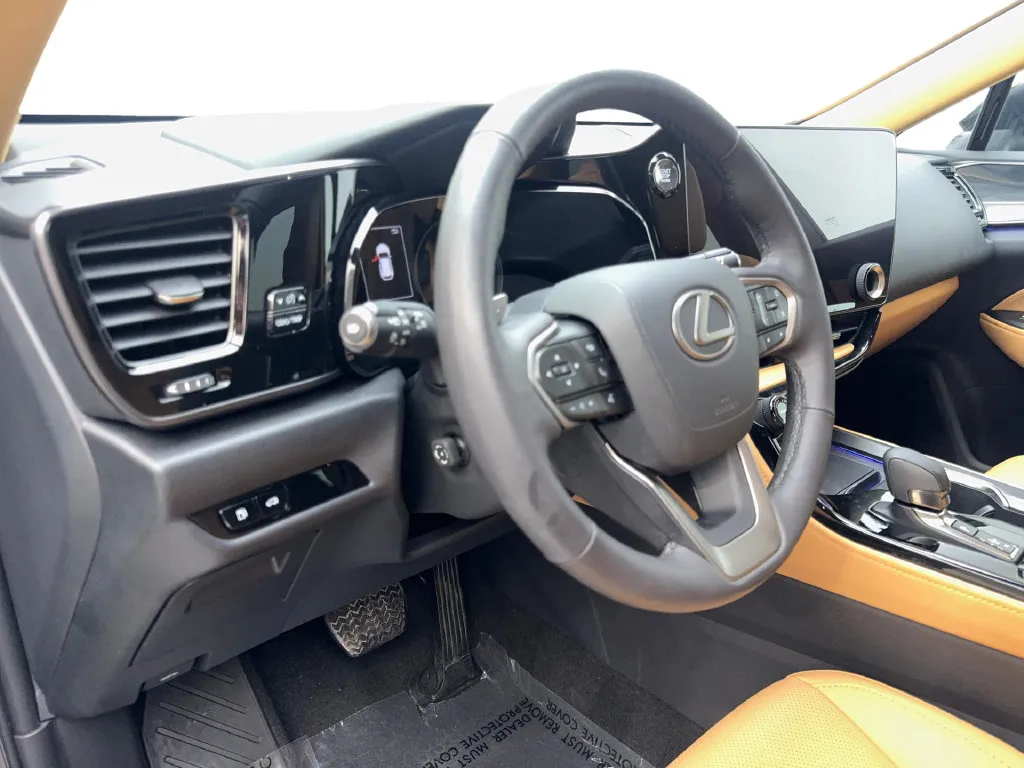 Lexus NX photo 52