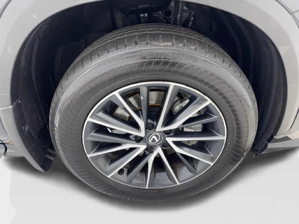 Lexus NX photo 82