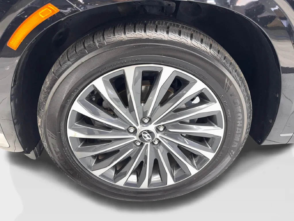 Hyundai Palisade photo 81