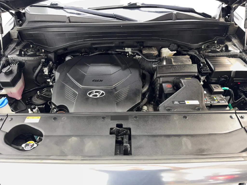 Hyundai Palisade photo 77