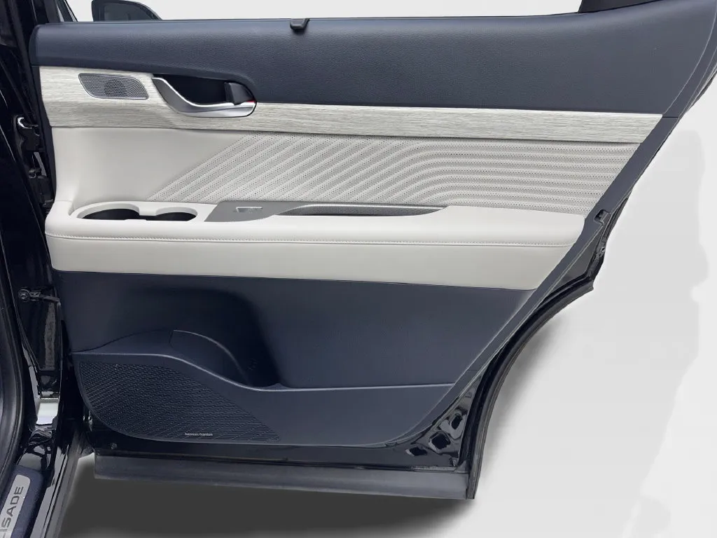 Hyundai Palisade photo 46