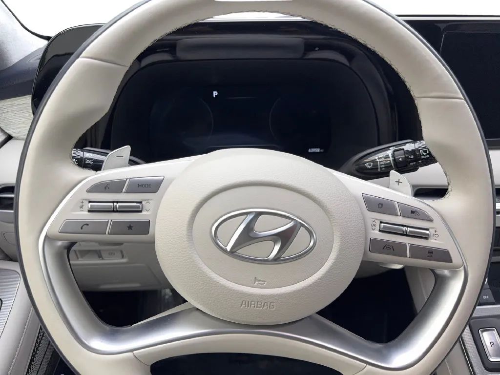 Hyundai Palisade photo 61