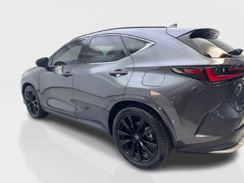 Lexus NX photo 16