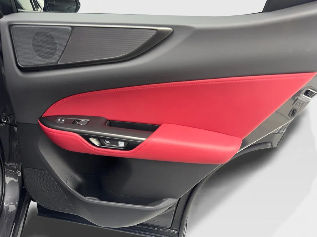 Lexus NX photo 44