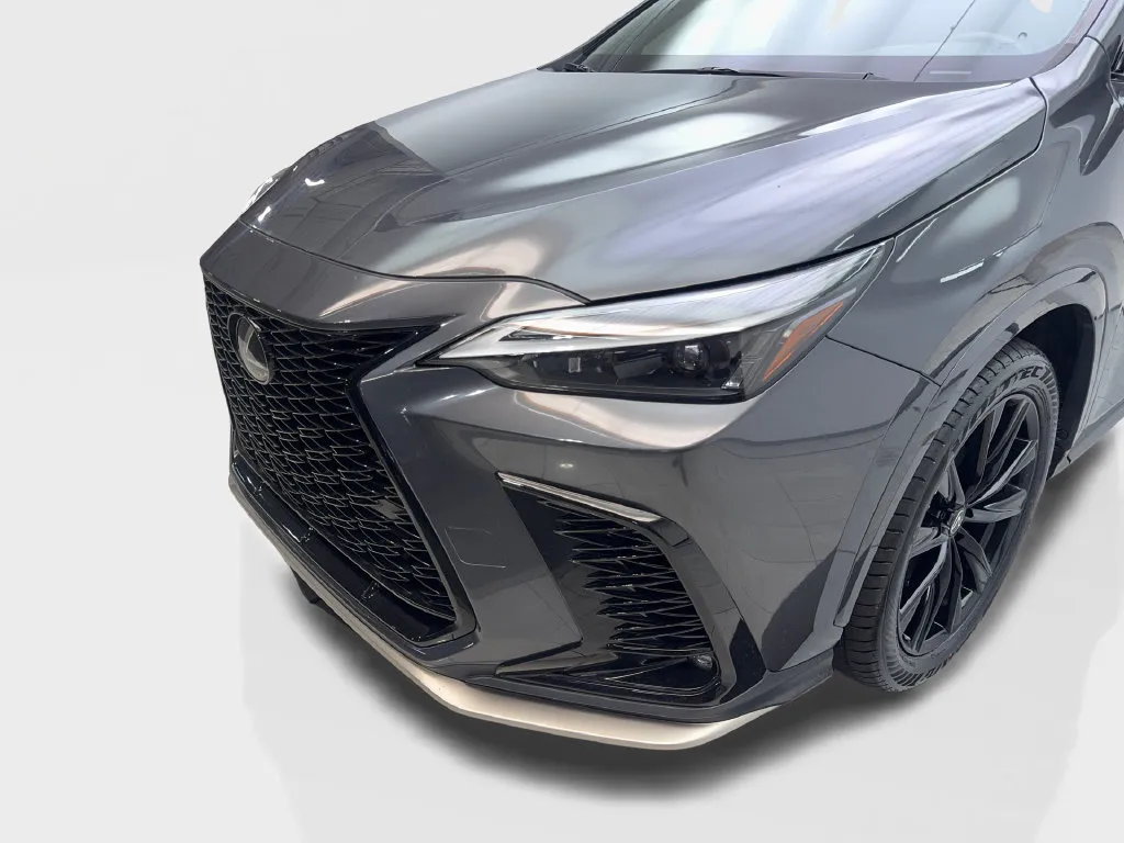 Lexus NX photo 18