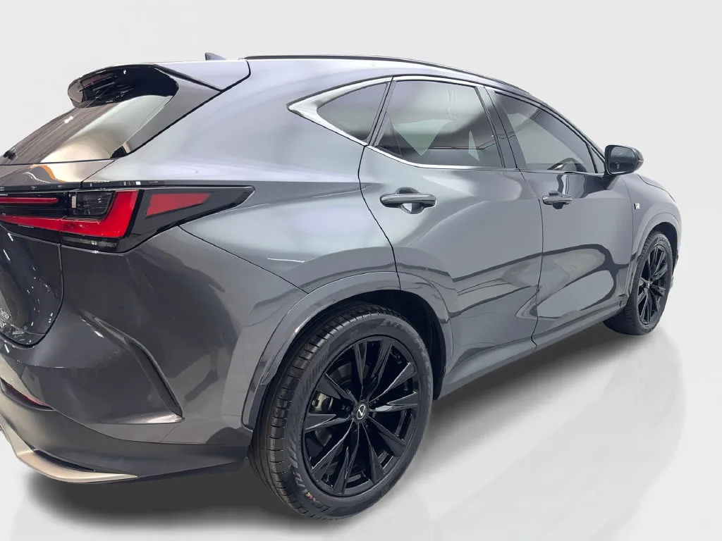 Lexus NX photo 15