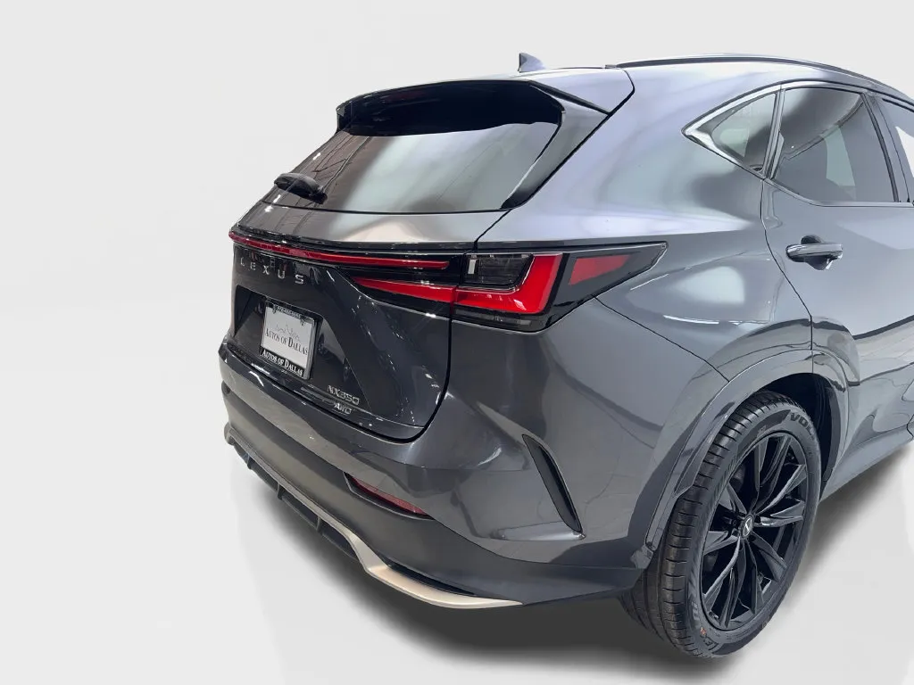 Lexus NX photo 20