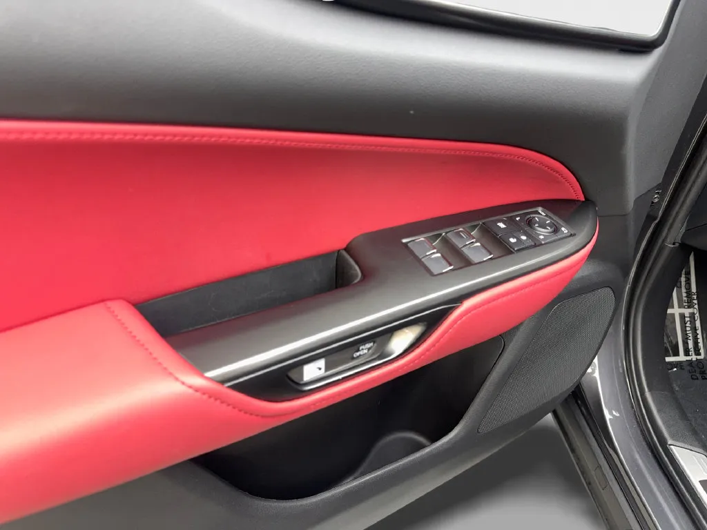 Lexus NX photo 34
