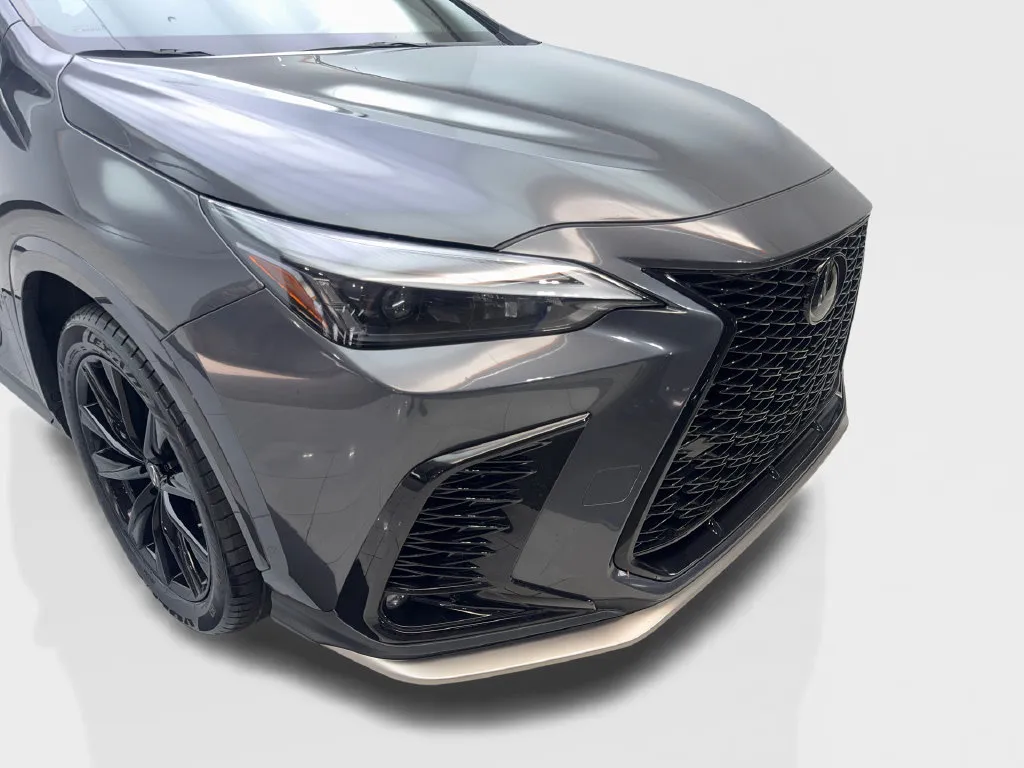 Lexus NX photo 19