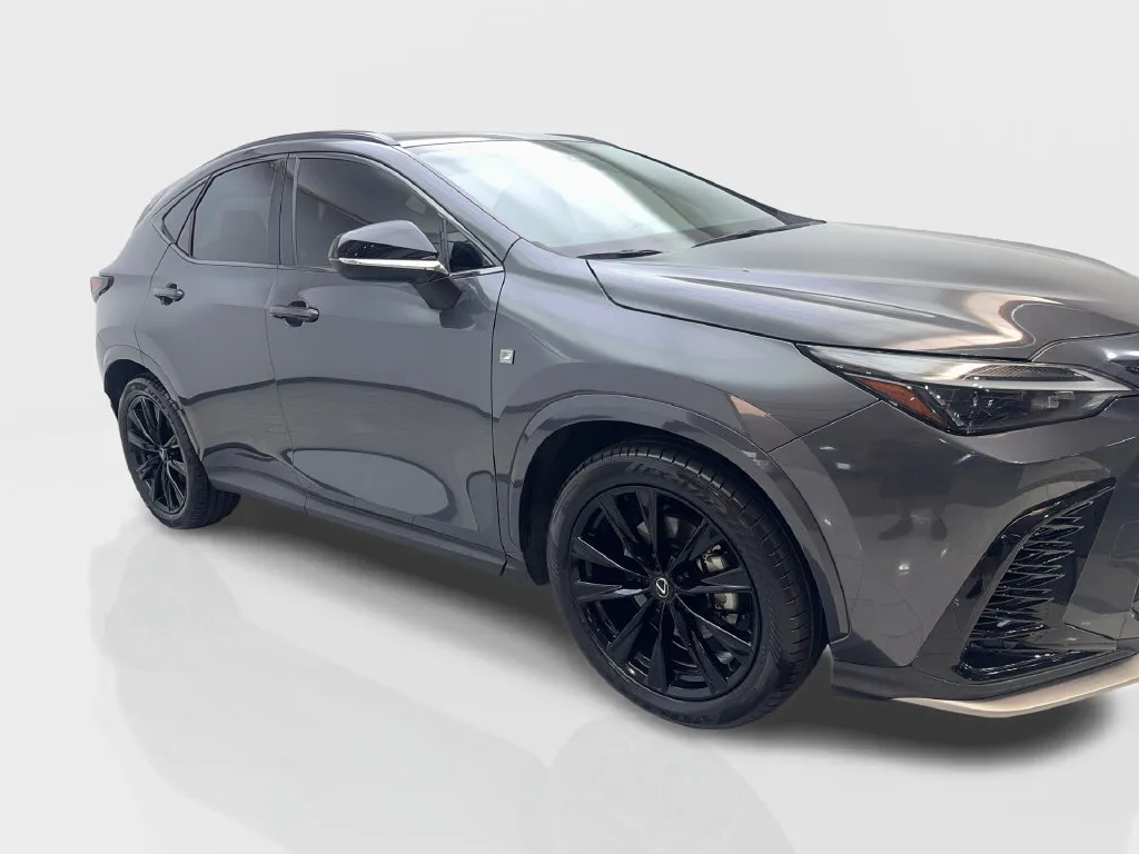 Lexus NX photo 14