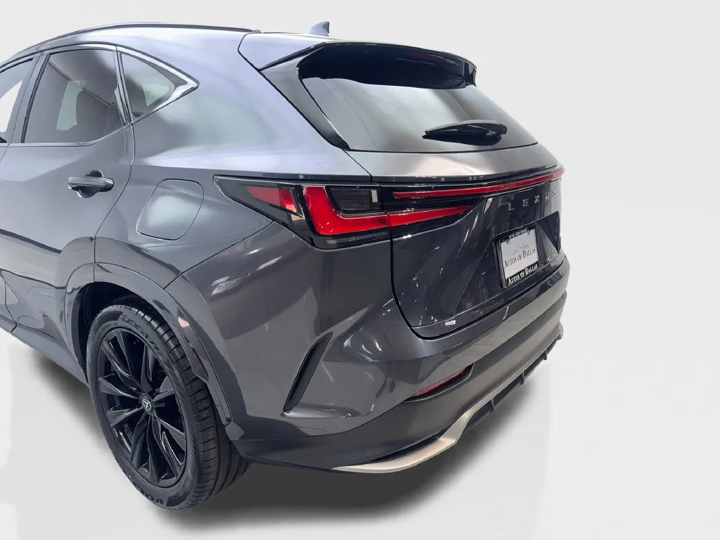 Lexus NX photo 21