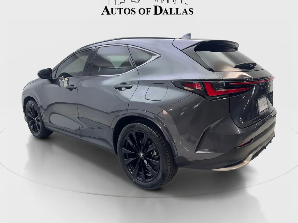 Lexus NX photo 10