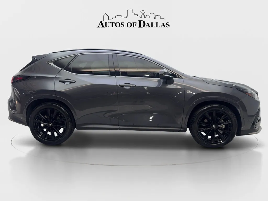 Lexus NX photo 11