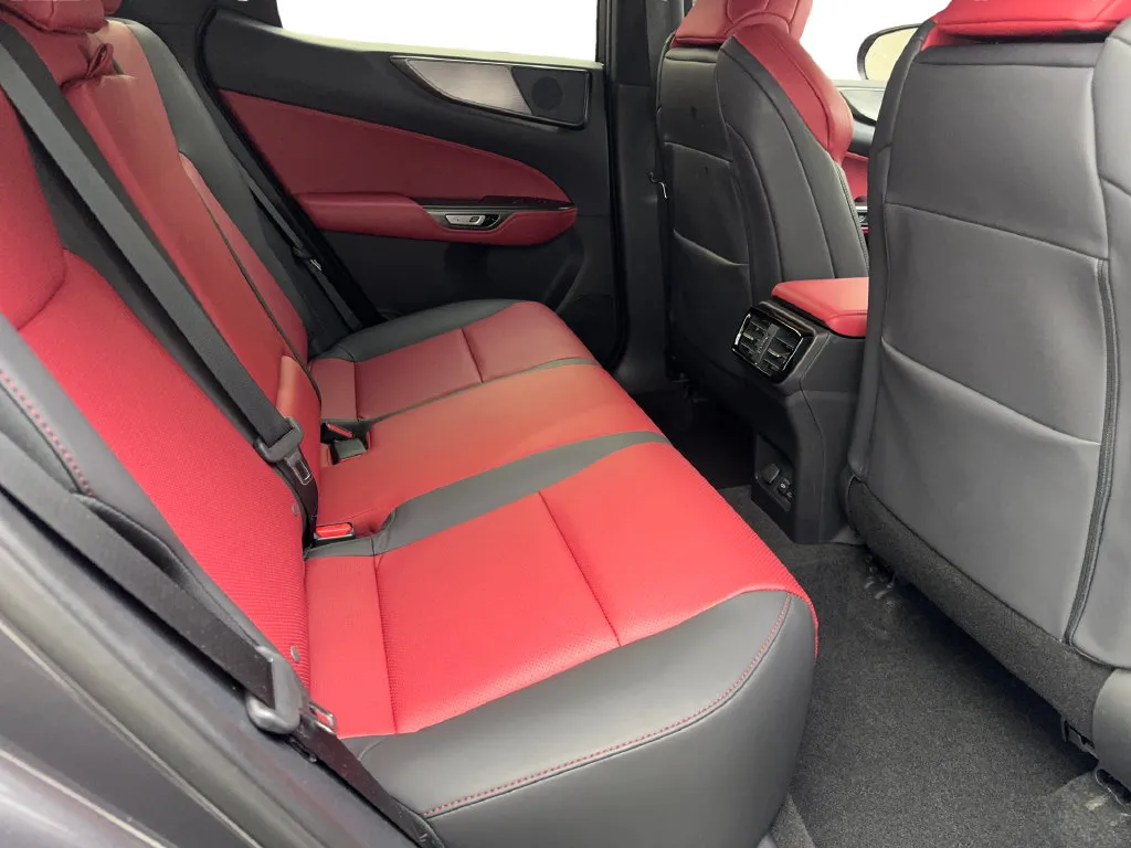 Lexus NX photo 41