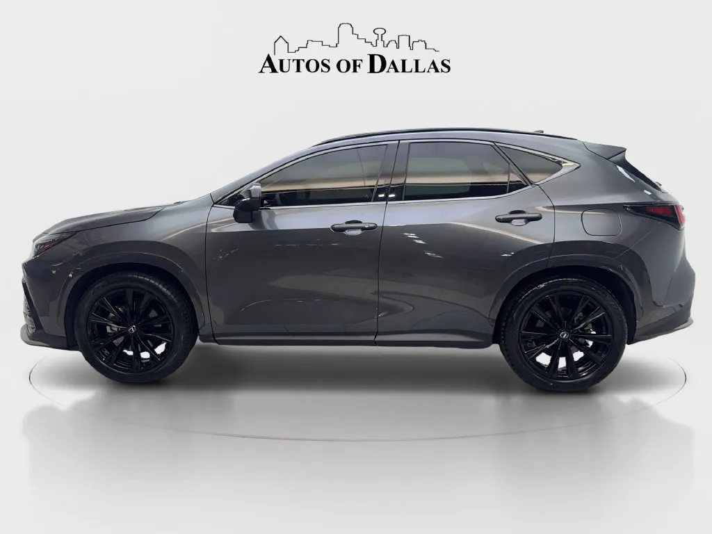 Lexus NX photo 6