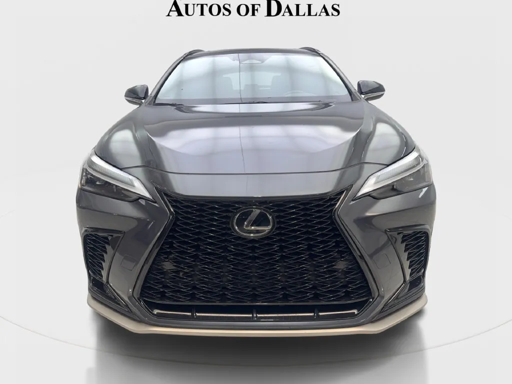 Lexus NX photo 4