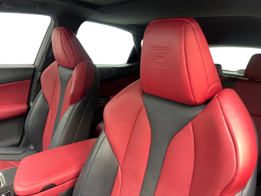 Lexus NX photo 29
