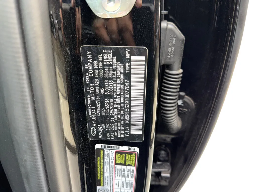 Hyundai Palisade photo 89