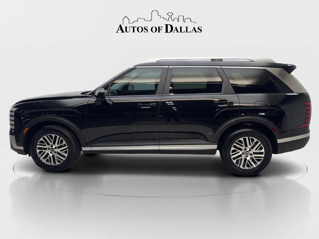 Hyundai Palisade photo 11