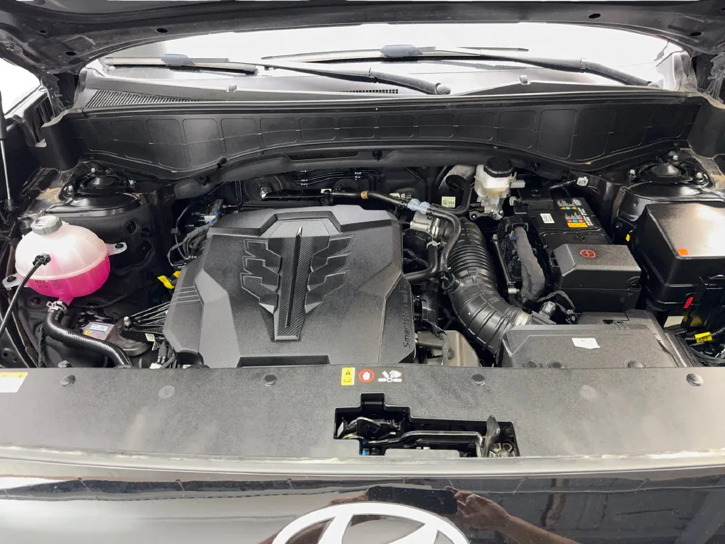 Hyundai Palisade photo 79