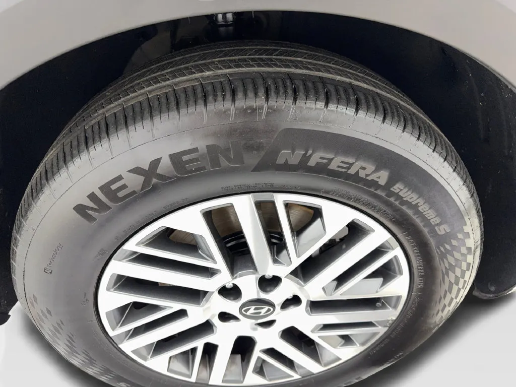 Hyundai Palisade photo 87