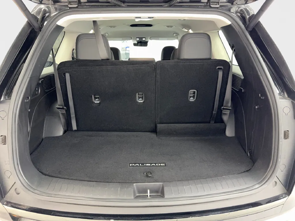 Hyundai Palisade photo 81
