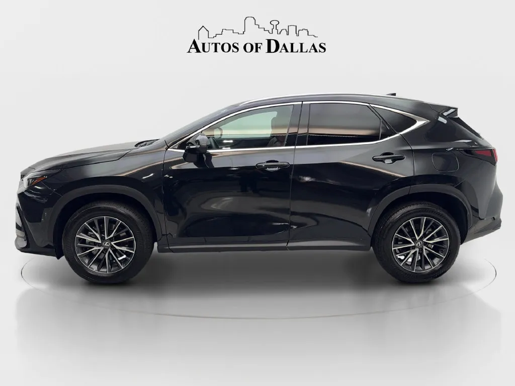 Lexus NX photo 11