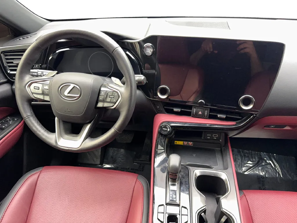 Lexus NX photo 54