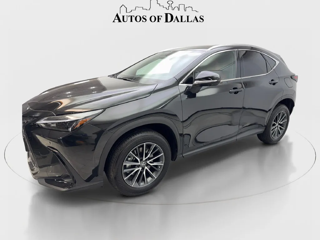 Lexus NX photo 12