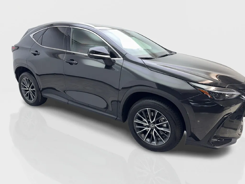 Lexus NX photo 14