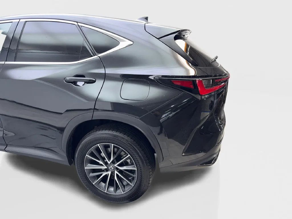 Lexus NX photo 19
