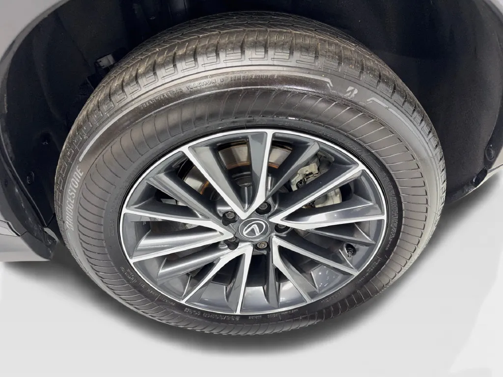 Lexus NX photo 80