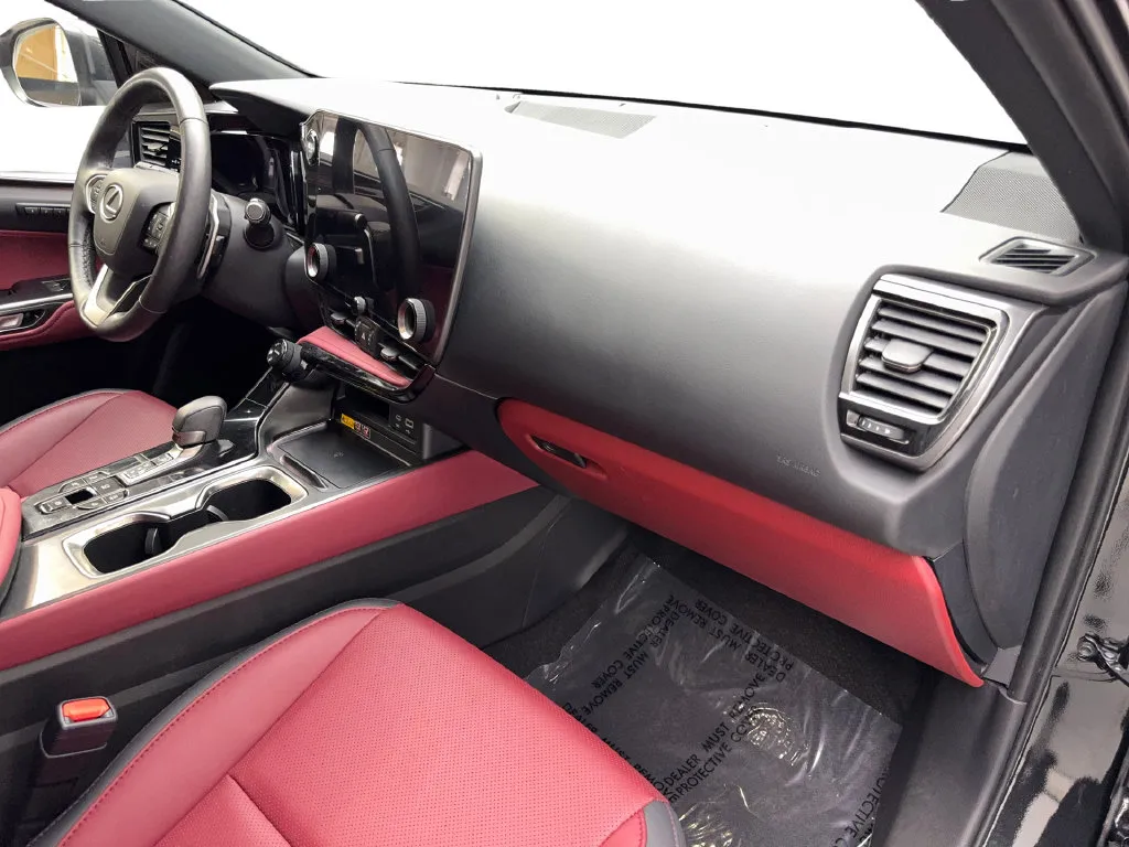 Lexus NX photo 53
