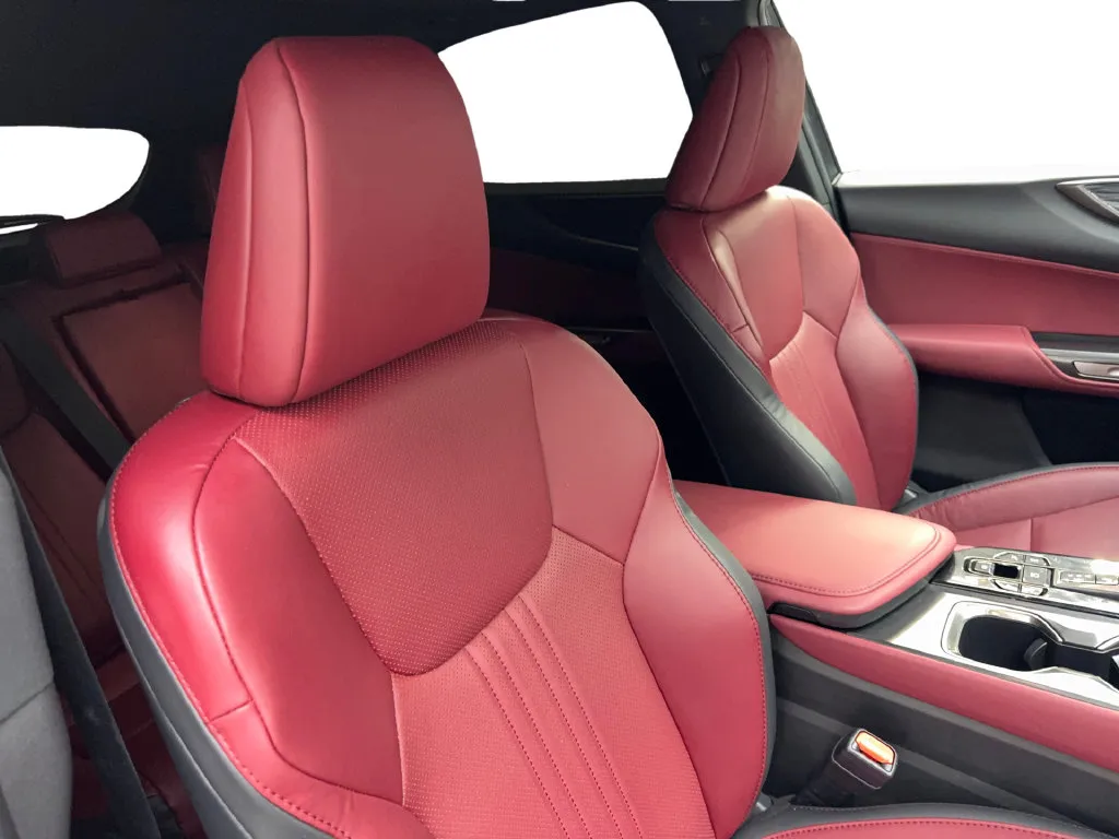 Lexus NX photo 46