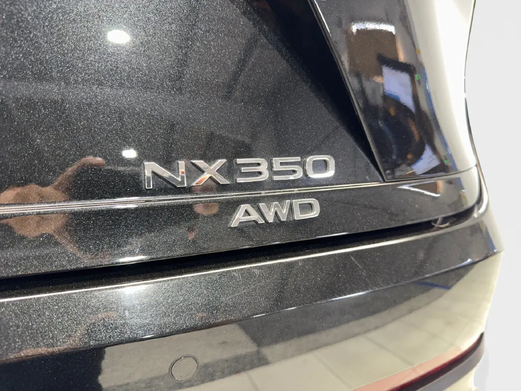Lexus NX photo 25