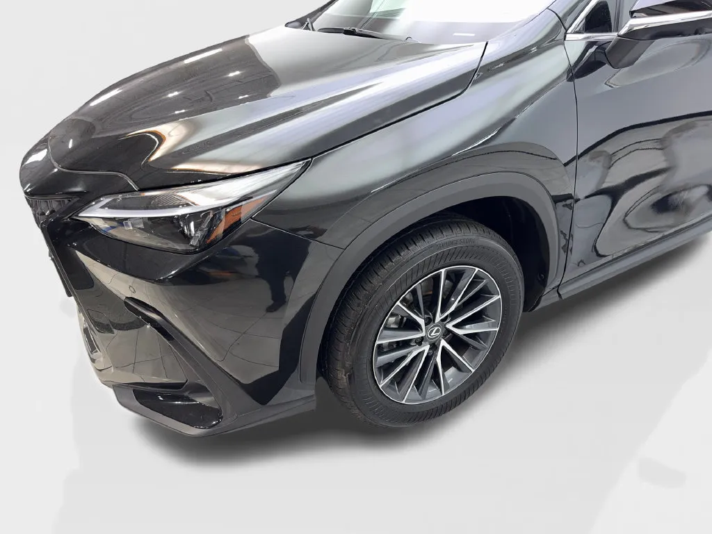 Lexus NX photo 20