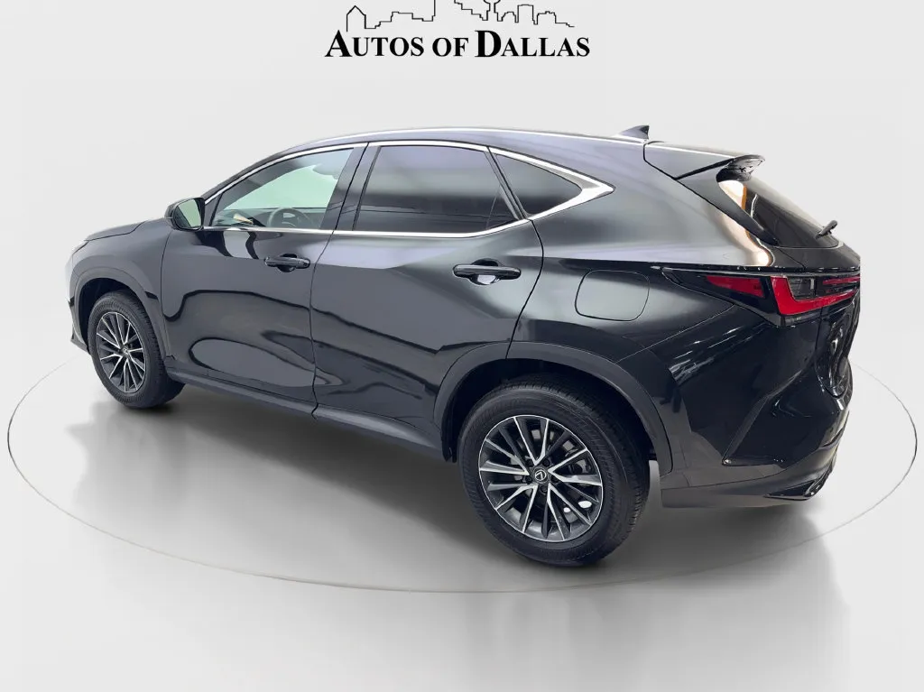 Lexus NX photo 16